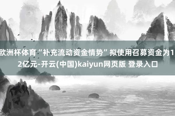 欧洲杯体育“补充流动资金情势”拟使用召募资金为1.2亿元-开云(中国)kaiyun网页版 登录入口