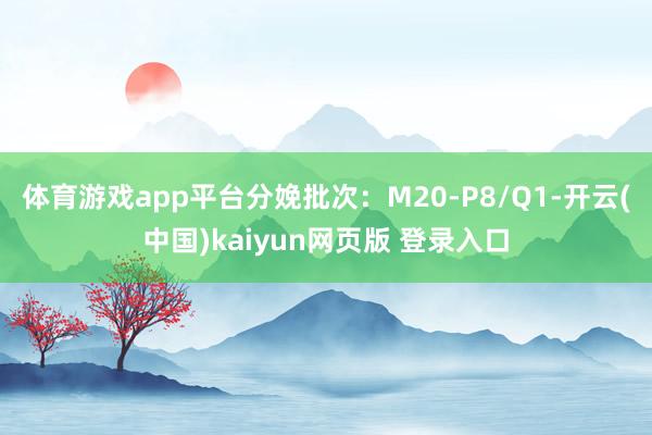 体育游戏app平台分娩批次：M20-P8/Q1-开云(中国)kaiyun网页版 登录入口
