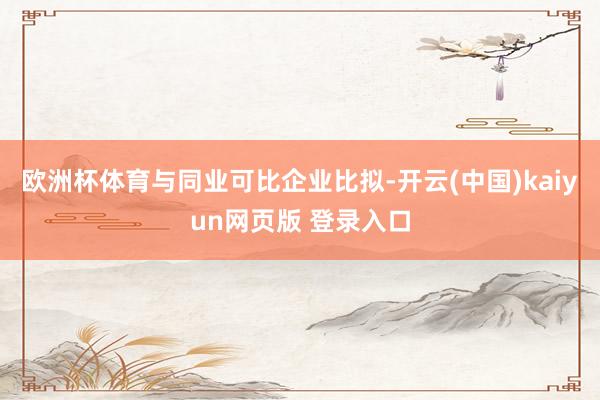 欧洲杯体育　　与同业可比企业比拟-开云(中国)kaiyun网页版 登录入口