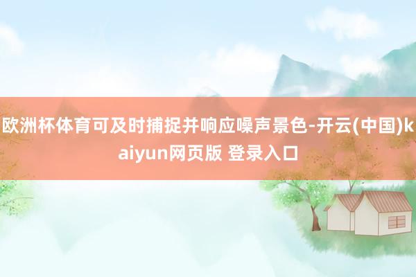 欧洲杯体育可及时捕捉并响应噪声景色-开云(中国)kaiyun网页版 登录入口