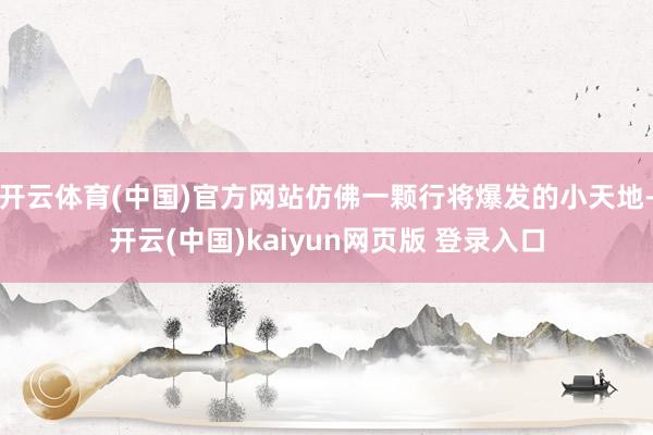 开云体育(中国)官方网站仿佛一颗行将爆发的小天地-开云(中国)kaiyun网页版 登录入口