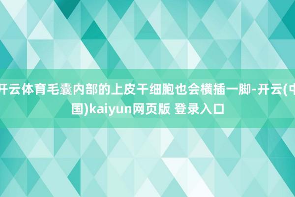 开云体育毛囊内部的上皮干细胞也会横插一脚-开云(中国)kaiyun网页版 登录入口